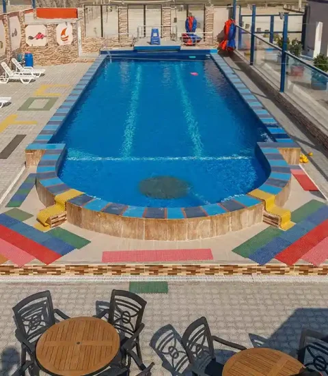 جنوب گردی