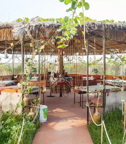 جنوب گردی