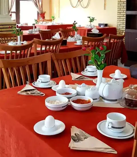 جنوب گردی