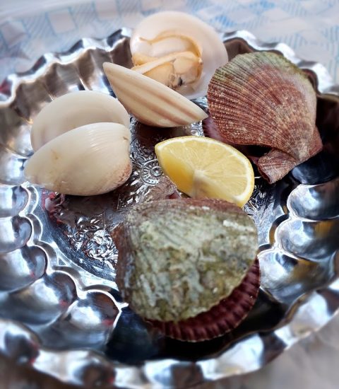 جنوب گردی
