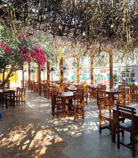 جنوب گردی