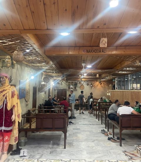 جنوب گردی
