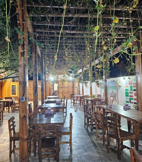 جنوب گردی