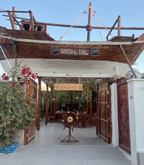 جنوب گردی