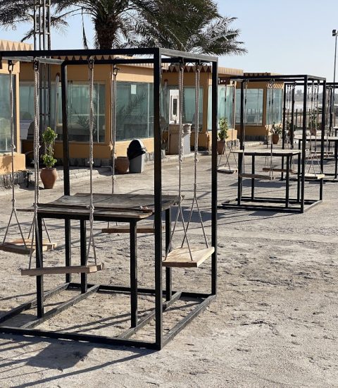 جنوب گردی