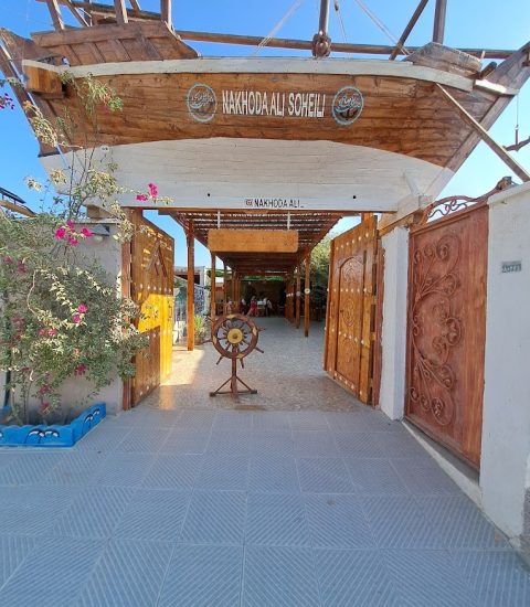 جنوب گردی