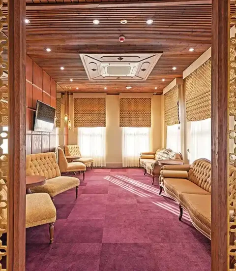جنوب گردی