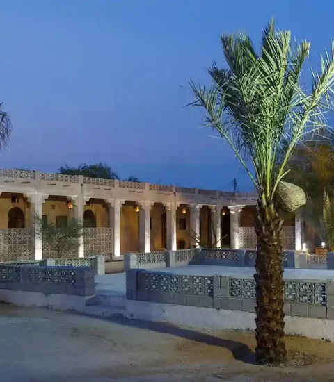 جنوب گردی