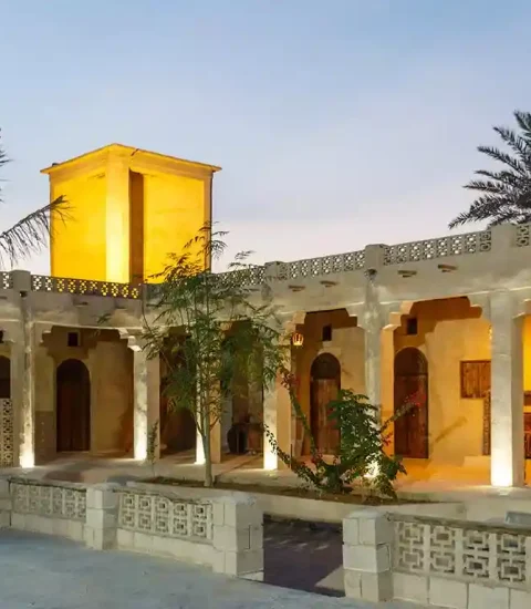 جنوب گردی