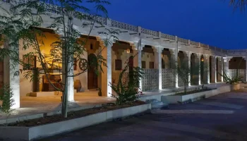 جنوب گردی