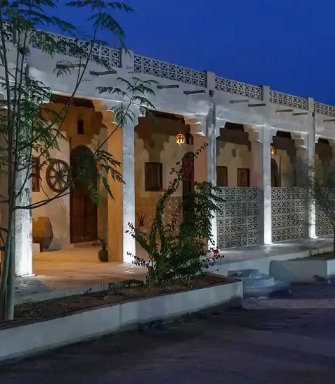جنوب گردی