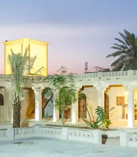 جنوب گردی