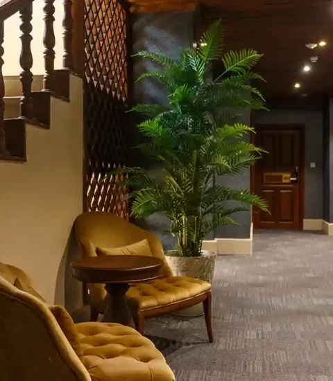 جنوب گردی