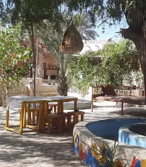 جنوب گردی