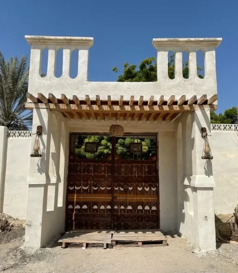 جنوب گردی
