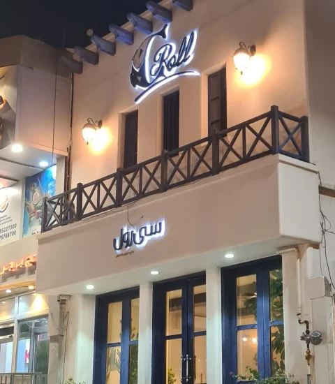 جنوب گردی