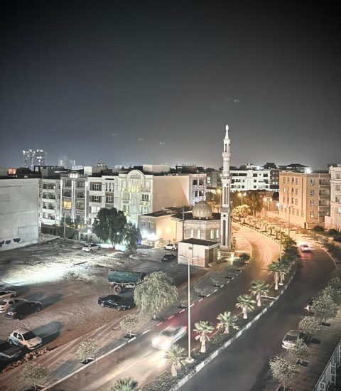 جنوب گردی