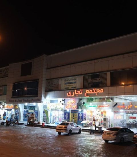 جنوب گردی