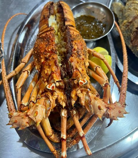 جنوب گردی
