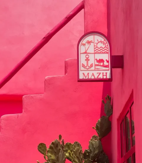 جنوب گردی