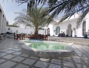 جنوب گردی