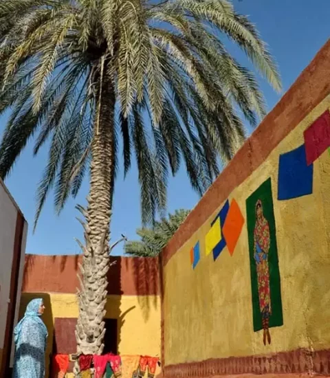 جنوب گردی